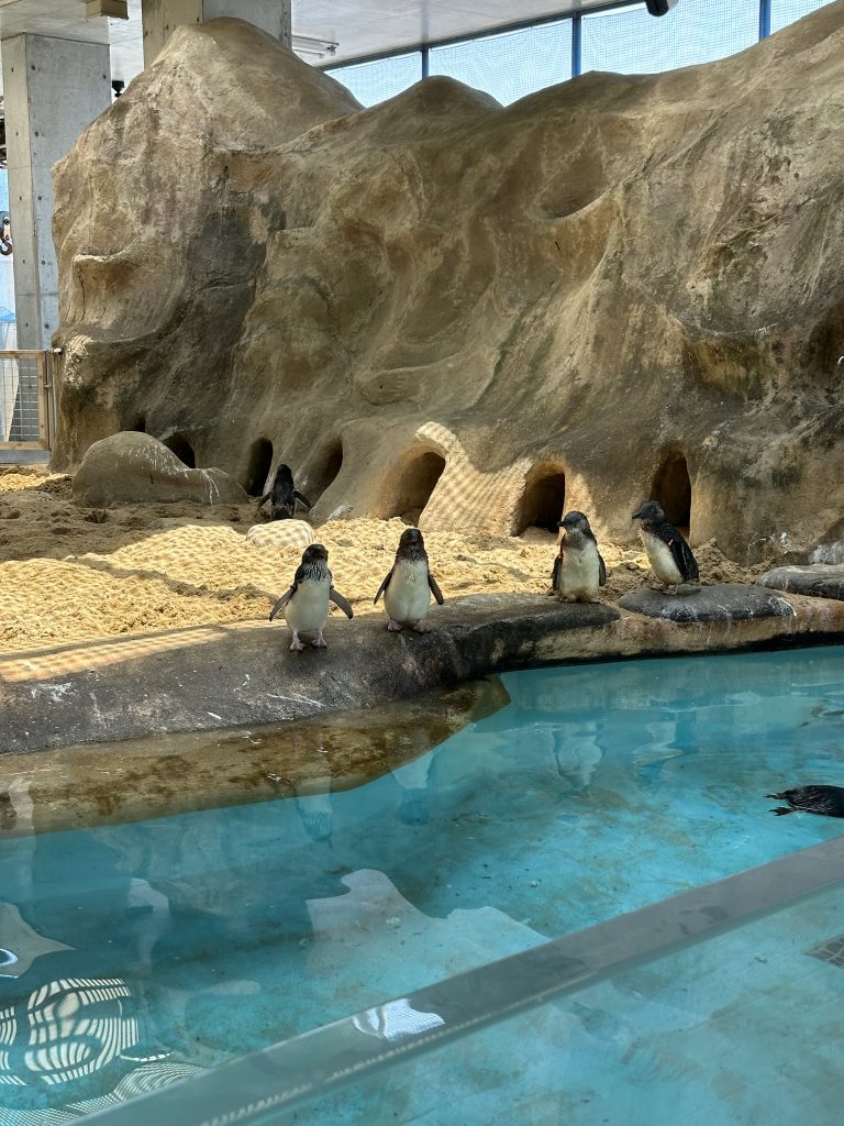 ペンギン水族館🐧