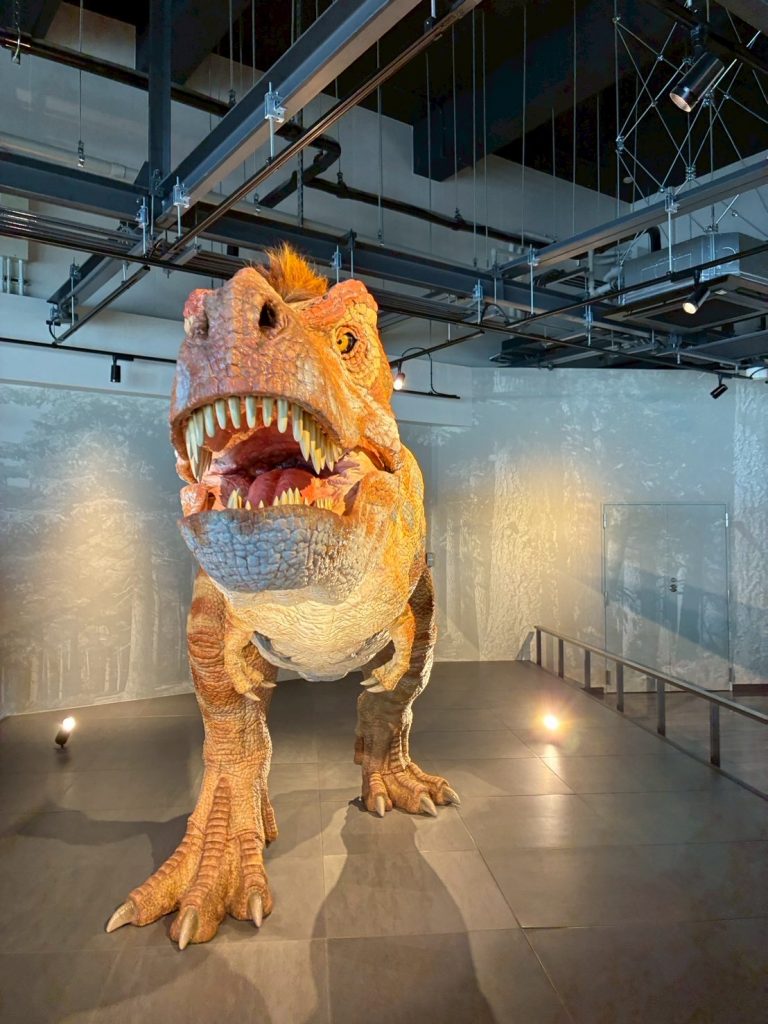 恐竜博物館🦖